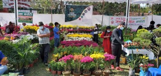 पुष्प प्रदर्शनी एकैदिन २५ लाखको कारोबार