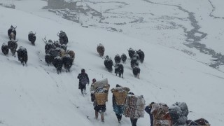 राज्यले किन सुन्दैन उपल्लो डोल्पाको दुःख ?