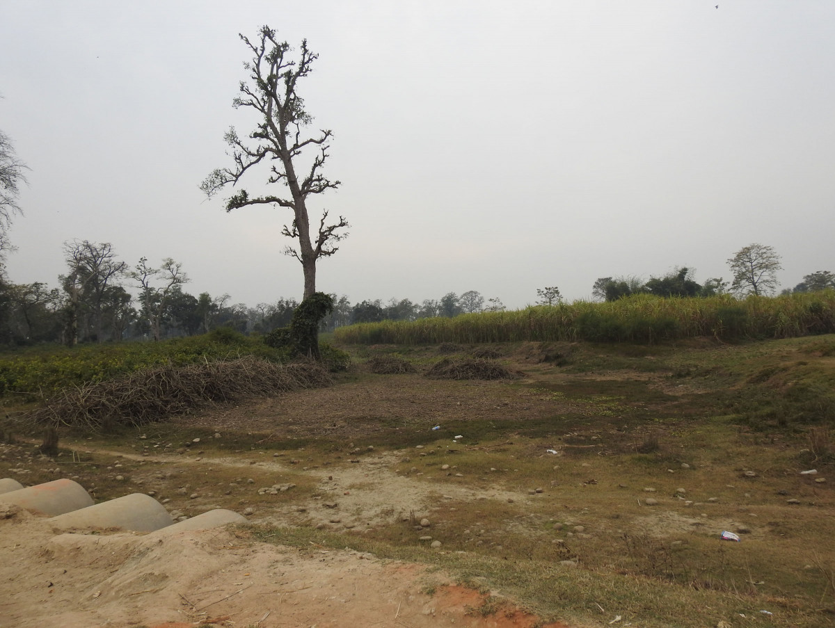 SherbahadurSingh_Kanchanpur_RSS_12(3).JPG
