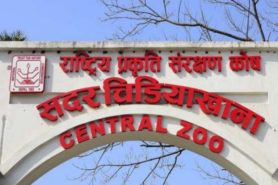 चिडियाखाना अवलोकनमा स्वास्थ्य मापदण्ड अनिवार्य