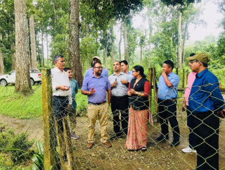 चितवन राष्ट्रिय निकुञ्जमा सडक निर्माण गर्न ‘डिपिआर’ र ‘इआइए’