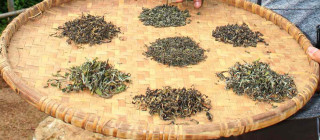 अन्तर्राष्ट्रिय बजारमा तयारी चियाको माग बढी