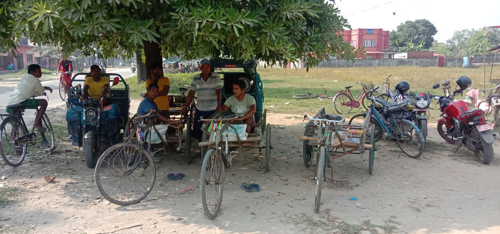 इलेक्ट्रिक रिक्साले विस्थापित हुँदै ठेला मजदूर