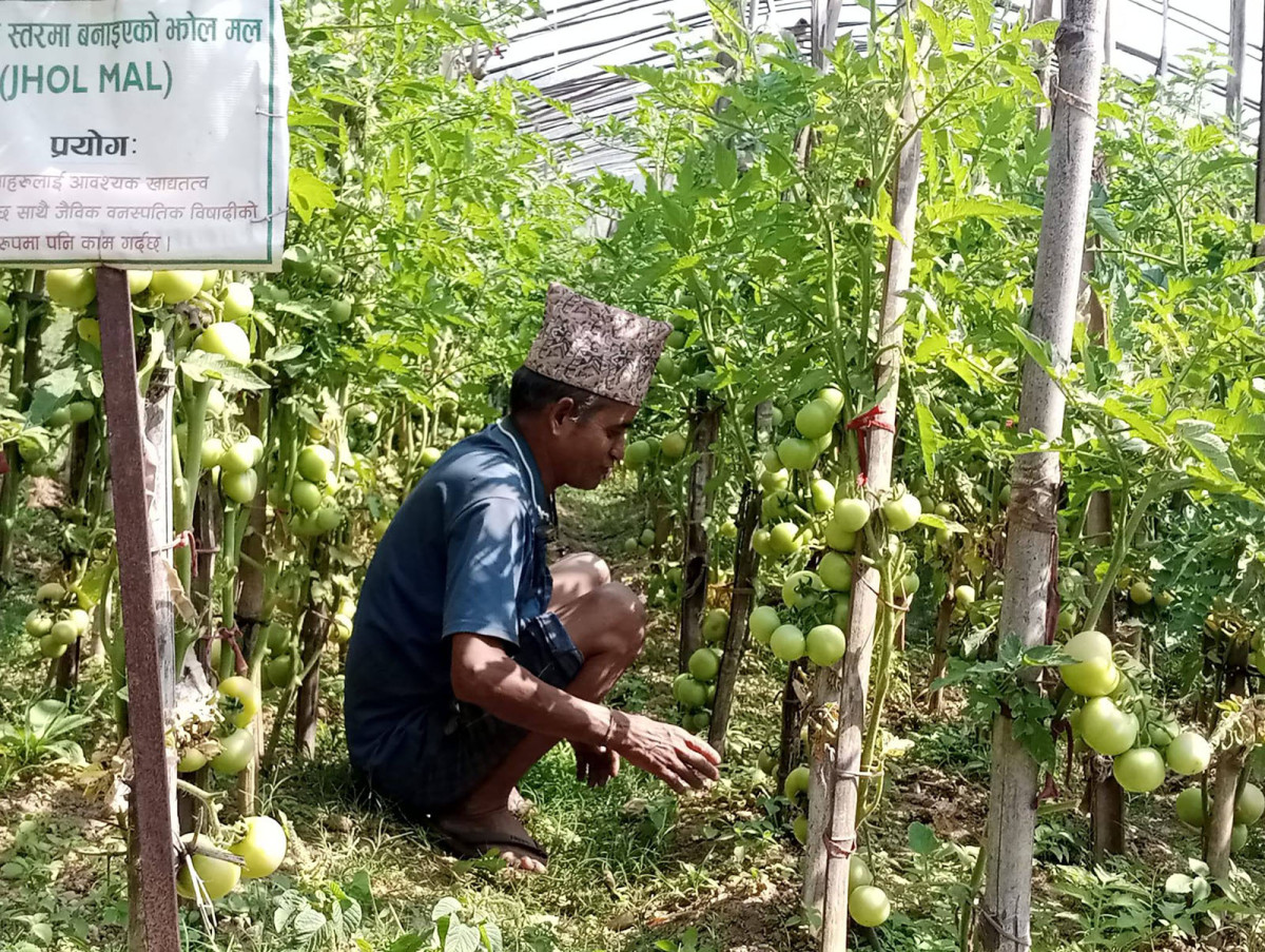 अगुवा किसानको गाउँले एफएम दाइ