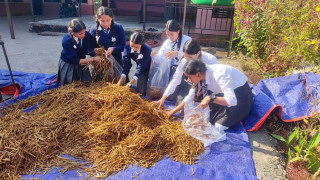 व्यावसायिक च्याउखेती