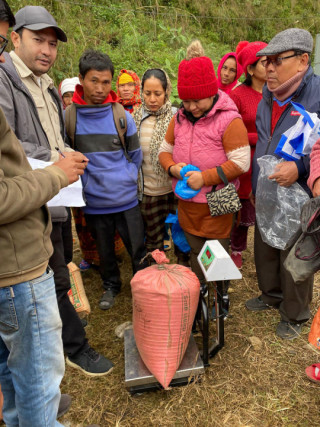 मास उत्पादनले बजार पाएपछि कृषक उत्साहित
