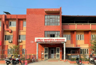 नेपालमै पहिलो पटक स्तन क्यान्सरको वंशानुगत परीक्षण सफल