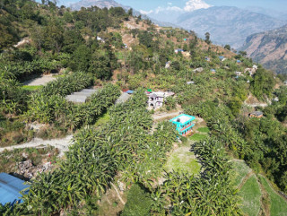 केराखेती गरेका किसानलाई बजारको अभाव
