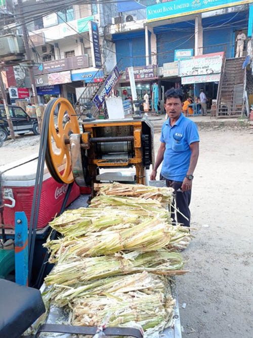 उखु जुस व्यापारीको आम्दानी बढ्दै