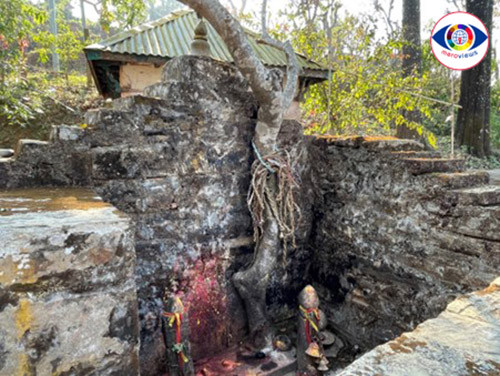 जहाँ देवीलाई चढाइन्छ दाम्लो