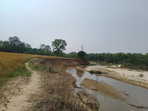 खेतीयोग्य जमिन कटानमा
