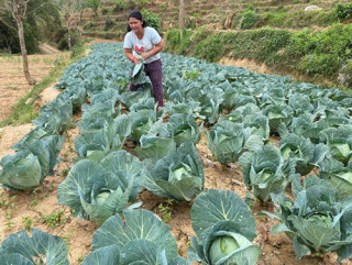 तरकारी खेतीबाट आत्मनिर्भर
