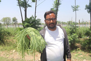 व्यावसायिक तरकारी खेतीमा रमाउँदै युवा