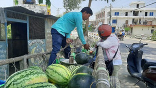 खरबुजा बिक्रीबाट दैनिक रु. १२ हजारसम्म आम्दानी
