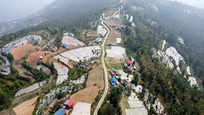पौवादुङमाको पाँच सय हेक्टरमा अकबरे खुर्सानी