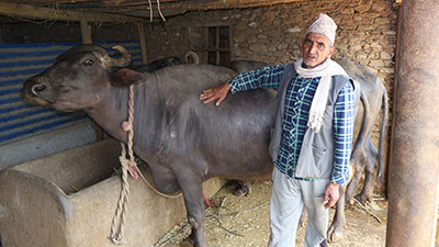 दूध र मह बिक्रीबाट आम्दानी