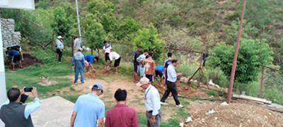 आम्दानी बढाउन बुद्धचित्तको बिरुवा
