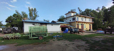 एक सय हेक्टरमा धानको बीउ उत्पादन गर्दै सहकारी