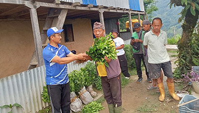 कृषि पकेट क्षेत्रमा सुन्तलाको विरुवा वितरण