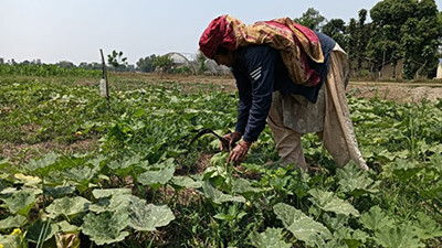 तरकारीखेतीबाटै टोलकै महिला आत्मनिर्भर