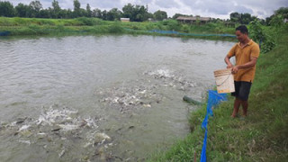 अवैध रूपमा भित्रिने माछाका कारण किसान समस्यामा