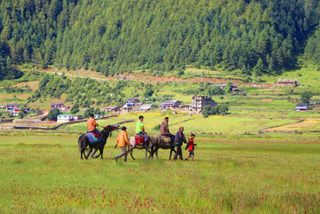पर्यटक बढेपछि घोडा व्यवसाय फस्टाउँदै