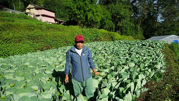 ‘अहिलेसम्म टिकोटमा रासायनिक मल भित्रिएको छैन’