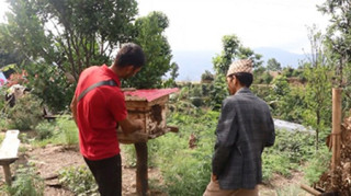 व्यावसायिक मौरीपालनमा किसान