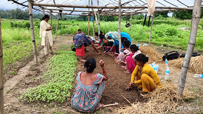 सामूहिक खेतीबाट मनग्य आम्दानी