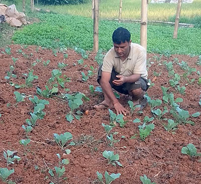व्यावसायिक कृषिमा युवाको आकर्षण