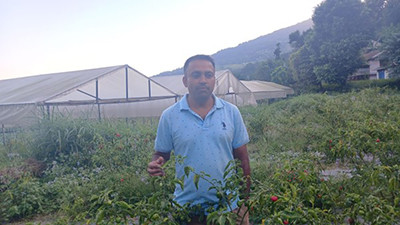 कलमदेखि कृषि कर्मसम्म