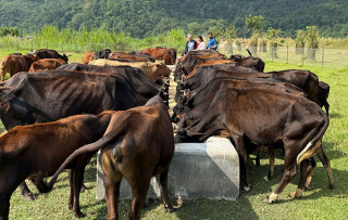 गौ संरक्षण केन्द्र सञ्चालन