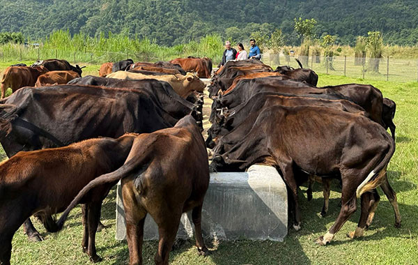 गौ संरक्षण केन्द्र सञ्चालन
