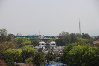 वसन्तको आगमनसँगै काठमाडौँमा छायो हरियाली