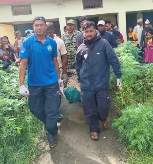 समस्याग्रस्त वन्यजन्तु नियन्त्रणमा लिन प्राविधिक टोली परिचालन