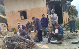 व्यावसायिक स्याउ खेती शुरु गर्दै वैकुण्ठेका किसान