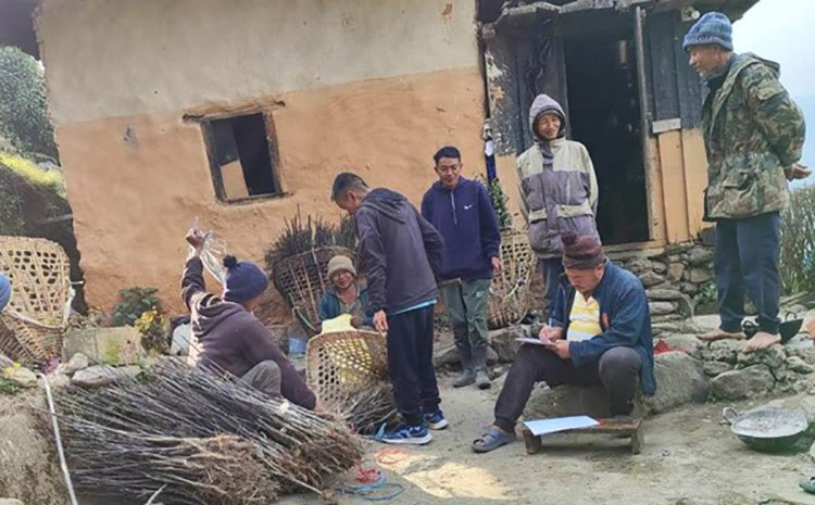 व्यावसायिक स्याउ खेती शुरु गर्दै वैकुण्ठेका किसान