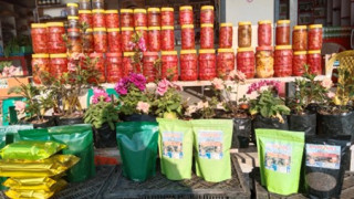 जहाँबाट ‘कोशेली’ नबोकी फर्किन्नन् पर्यटक