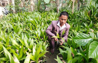 सफलताका कथा : जीवनको तस्बिर बदलेका उद्यमी भीमबहादुर