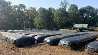 नवलपुरमा साझेदारी वनद्वारा जैविक मल उत्पादन शुरु