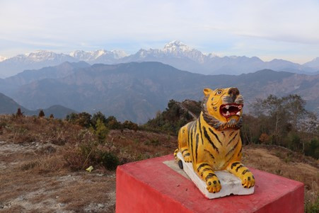 बाघखोरमा बाघको प्रतिमासहितको ‘पार्क’ निर्माण