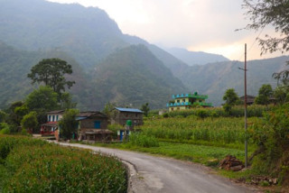 सडकबत्ती जडान