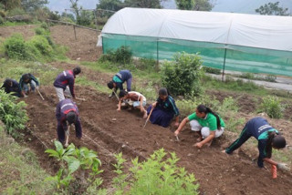 प्रयोगात्मक सीप विकासका लागि विद्यालयद्वारा तरकारीखेती विस्तार