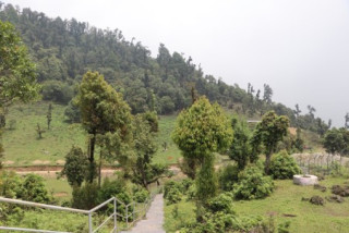 सोलेडाँडामा ‘जडीबुटी पार्क’