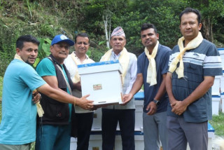 किसानलाई अनुदानमा मौरी घार वितरण