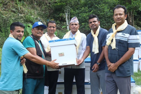किसानलाई अनुदानमा मौरी घार वितरण