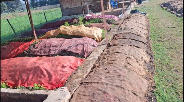 गड्यौलाको मल उत्पादन गरी आत्मनिर्भर बन्दै सिंह