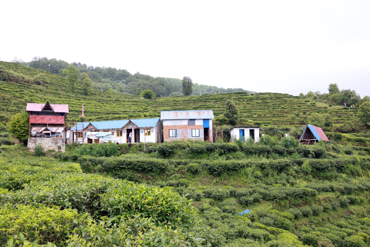 चियाबारीको हरियालीमा फक्रिँदै ल्वाङको पर्यटन