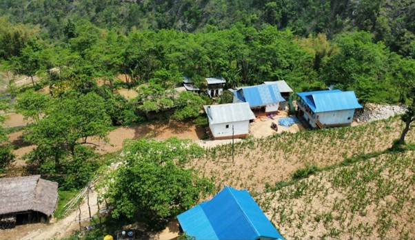 व्यावसायिक रुद्राक्ष खेतीबाट राम्रो आम्दानी गर्दै किसान