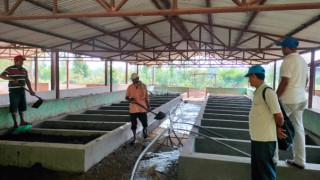 गड्यौला मल उत्पादन गर्न किसानलाई तालिम